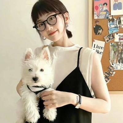 黑狐之风影